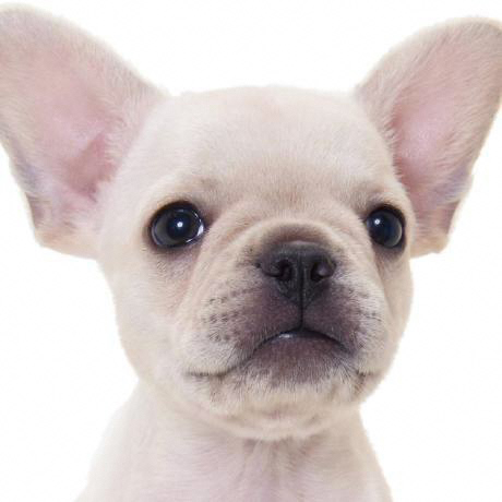 伊藤浩一/Koichi ITO