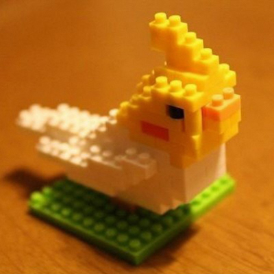 辻本和樹/Kazuki Tsujimoto