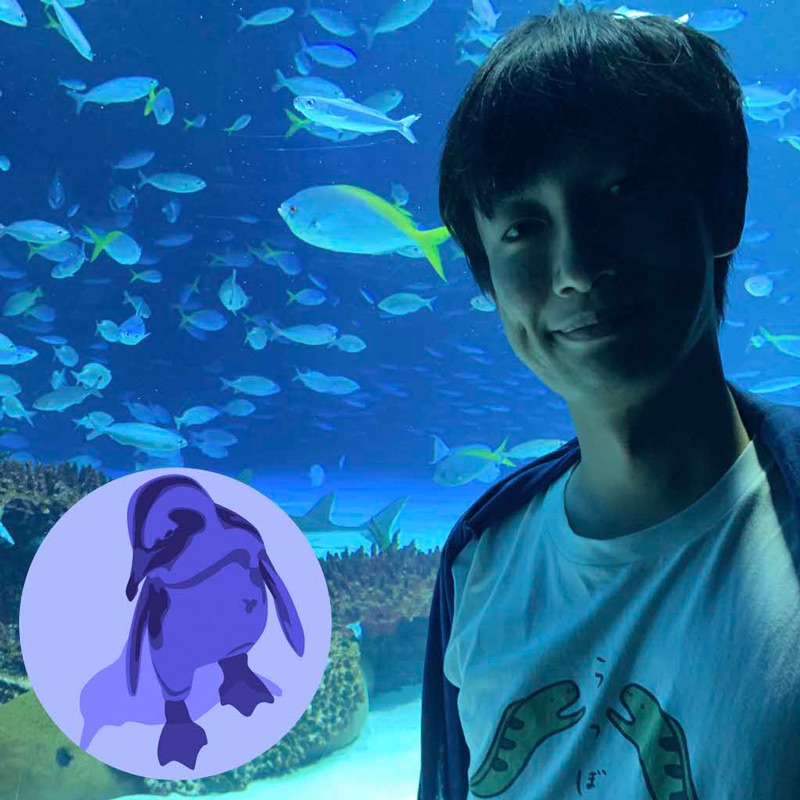 Tomoya Ishida(tompng)